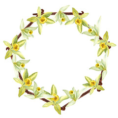 Vanilla orchid flowers and beans watercolor wreath isolated on white background. High quality hand drawn design element perfect for spice box, cards, cafe menu, packaging, recipes, label logo decor