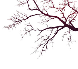 Obraz premium branches of a tree