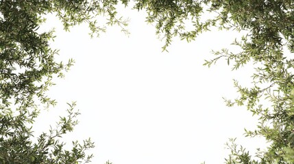 Lush foliage frame, overhead view, white background, nature design