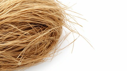 Coconut fiber ball on white; crafting material; studio shot