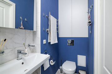 A beautifully designed modern compact bathroom showcasing blue accents alongside elegant fixtures