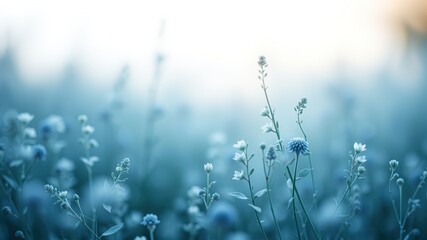 Fototapeta premium Azure Herbal Abstract Background