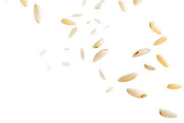 Falling Rice isolated on white background, selective focus