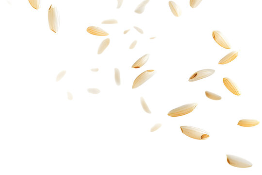 Falling Rice isolated on white background, selective focus