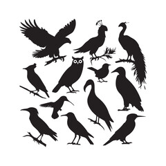 world of birds, including the majestic Eagle, vibrant Parrot, elegant Peacock, mysterious Owl, tiny Sparrow, adorable Penguin, graceful Flamingo, and powerful Falcon