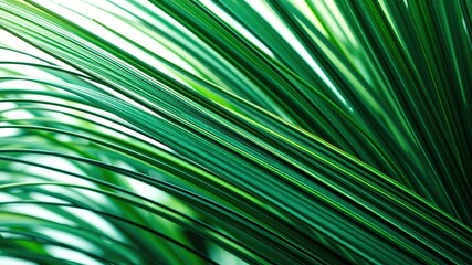 Obraz premium Father's Day Nature's Flowing Lines - Stunning Landscapes