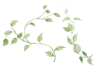 Watercolor wild flower clipart. hand drawn adorable floral for decorate you artwork. Ideal for creating feminine, aesthetic prints, invitations, cards and more.