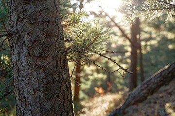 Fototapeta premium A tree trunk with a branch on it. The trunk is brown and the branch is green. The sunlight is shining on the branch, making it look bright and lively