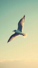 Bird Soars Freely Against Serene Gradient Sky