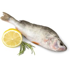 Pictures of various fish with the background removed.