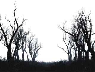 Isolated Dark Spooky Trees Silhouette