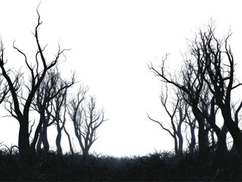 Isolated Dark Spooky Trees Silhouette