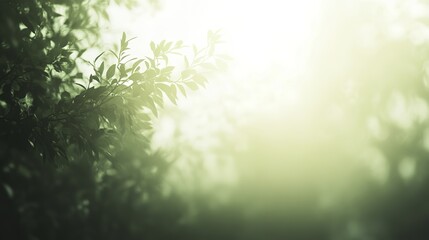 Fototapeta premium Tranquil forest bathed in soft sunlight, earthy tones blending harmoniously, evoking peace and natural serenity.
