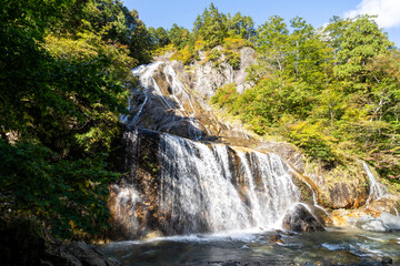 Fototapeta premium 紅葉の白山白川郷ホワイトロード・姥ヶ滝