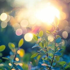 Abstract of sun with flare. natural background with lights and sunshine wallpaper