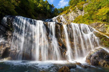 Fototapeta premium 紅葉の白山白川郷ホワイトロード・姥ヶ滝