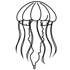 jellyfish. Coloring book page for adult. Underwater seabed with algae and corals, line art design and fish.