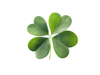 Four leaf clover isolated on transparent or white background