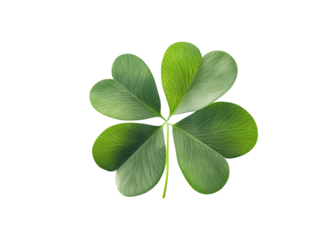Four leaf clover isolated on transparent or white background - Powered by Adobe