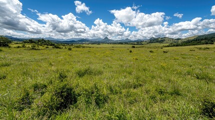 Obraz premium Summer meadow, mountain view, sunny day, peaceful landscape, nature background