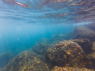 Underwater world of Nice: rocks immersed in the azure waters of the French Riviera.