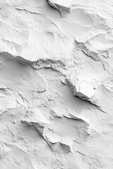 Fototapeta premium Cracked Black and White Wall