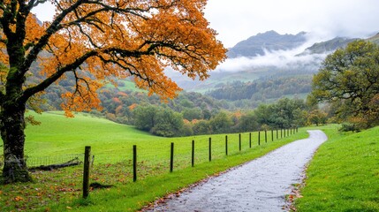 Autumnal path through green valley, misty mountains. Peaceful landscape, travel brochure