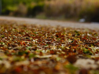 chickens on the white ceramic stand on a dark blue background