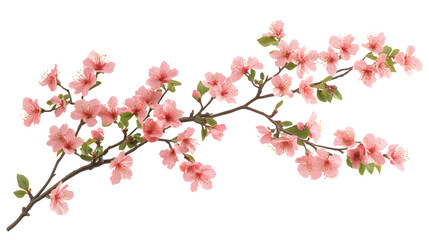 Detailed and Photorealistic Image of Azalea Branches Showcasing Bright Pink Petals