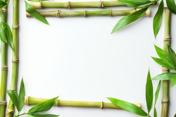 Bamboo frame, white background, nature, serenity, design, template, spa, wellness