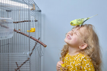 A laughing girl plays a budgie on a cage. The concept of friendship between children and pets.