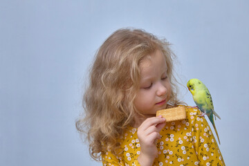 A girl feeds a parrot with junk food.