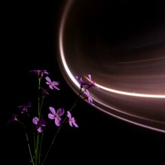 abstract background with flowers