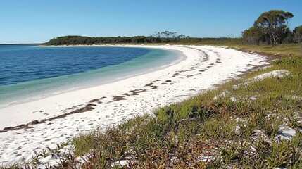 Scenic beach with white sand and clear blue water, surrounded by greenery and trees under a clear sky.