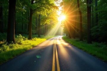 Obraz premium Sun-drenched asphalt ribbon winds through lush summer woods , green leaves, sunlight