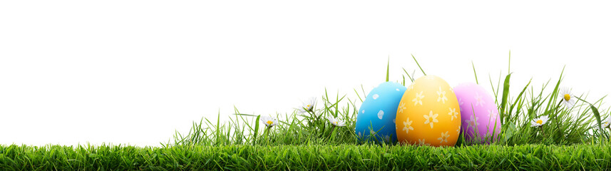 A template of a collection of painted easter eggs celebrating a Happy Easter with green cut meadow grass against an isolated transparent background.