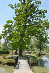 A wooden bridge spans a calm lake in Erdody Park, Jastrebarsko, leading to an island with tall trees under a clear blue sky