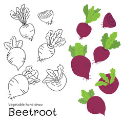 Beetroot doodle vegetable hand drawn outline and colors for kid, Package, labels Design element. Vector illustration