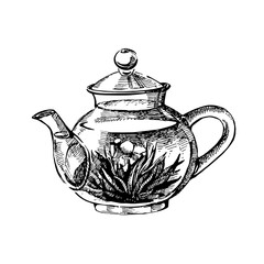 Hand drawn sketch vector tea cup isolated illustration on white background