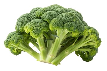 broccoli isolated on white background