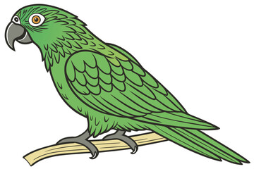 parrot on a branch