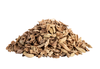 Pile of dried angelica root pieces.