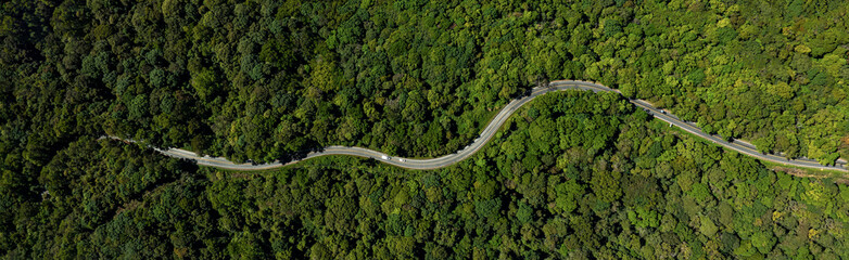 Car in rural road in deep rain forest with green tree forest view from above, Aerial view car in the forest on asphalt road background, Electric vehicle EV car drive asphalt road green tree forest