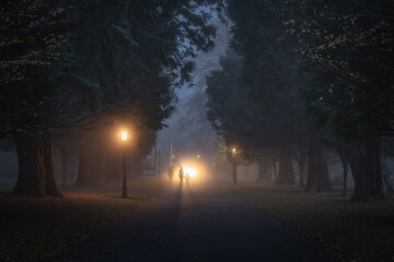 Blurred silhouette of people illuminated by bright lights, that walks in fog on road surrounded by...