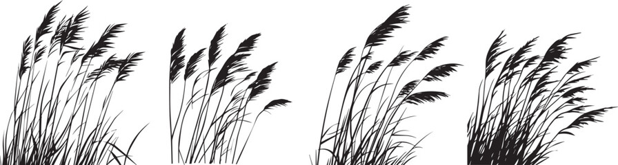 Silhouette of a reed bed gently swaying in the wind vector silhouette