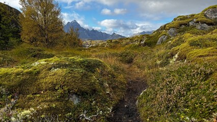 Kabelvag, Norwegen: Blick in die unberührte Natur