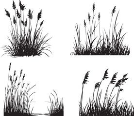 Silhouette of a wetland with reeds swaying in the breeze vector silhouette