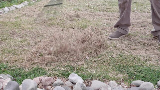Raking Thatch From Lawn Up