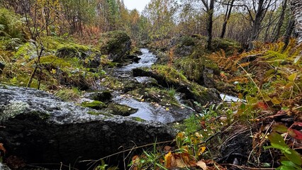 Obraz premium Kleiner Wasserlauf in Norwegen