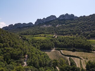 Avignon, France - Landscape